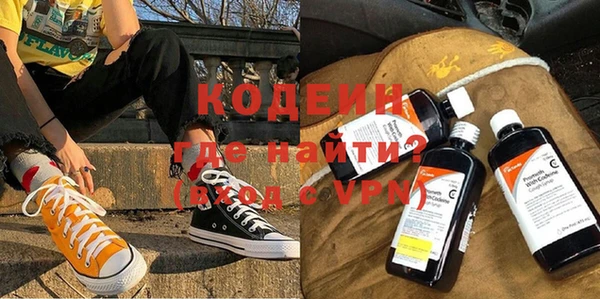хмурый Инта