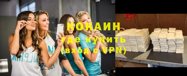 хмурый Инта