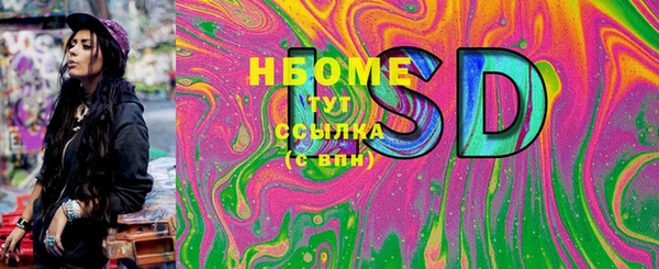 МДПВ Инсар