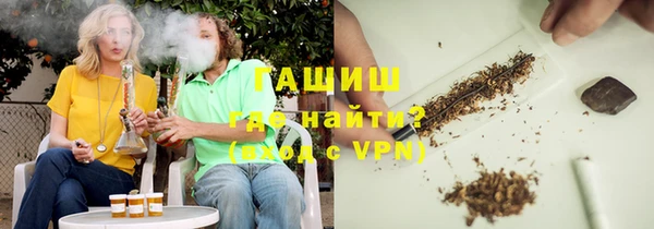хмурый Инта