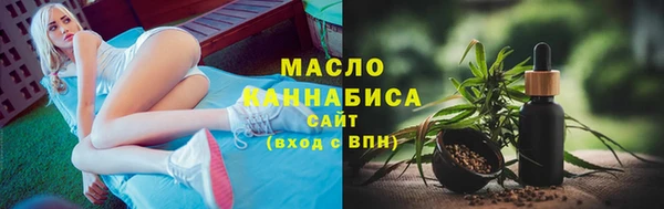 хмурый Инта