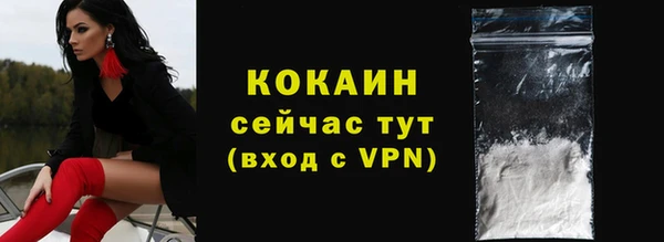 МДПВ Инсар
