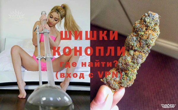 МДПВ Инсар