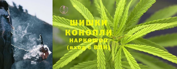 хмурый Инта