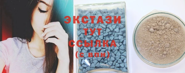 МДПВ Инсар