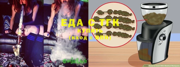 хмурый Инта